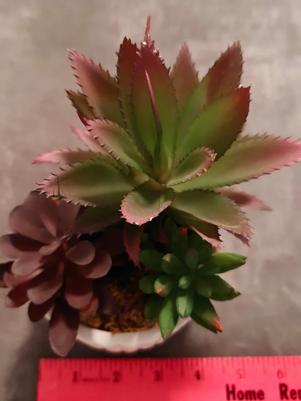 Faux Succulents, Green and Burgundy in a White Planter